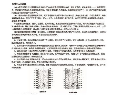 自清洗水過濾器